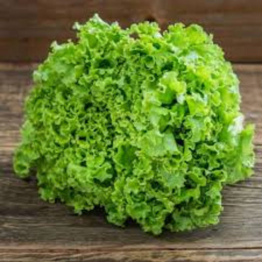 Alface Crespa (unidade) | Cód 005