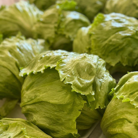 Alface Americana - 250g | Cód 004