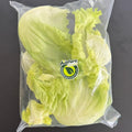 Alface Americana Higienizada 150g | Cód 302