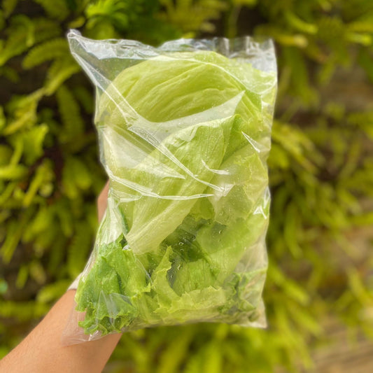 Alface Americana Higienizada 150g | Cód 302